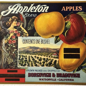 Original Vintage Apple Crate Label 1930s Bachan Newton