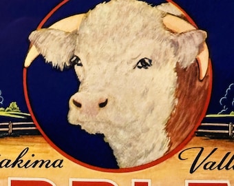 Etiqueta antigua de caja de manzanas Hereford de la década de 1930, Selah, Washington, historia americana