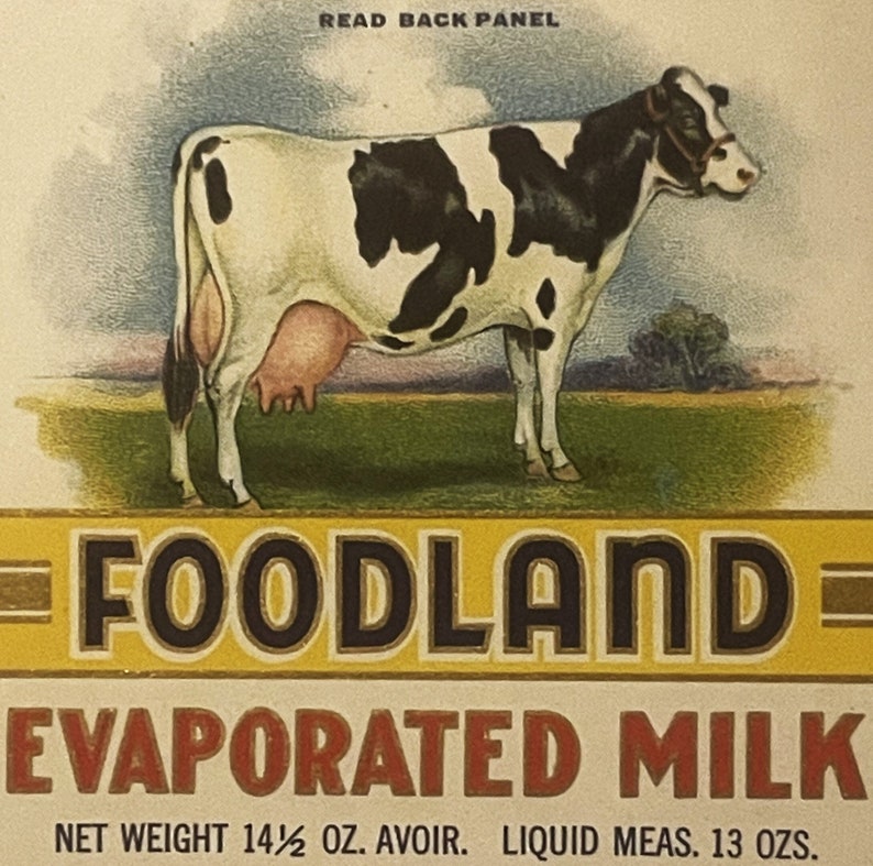 Antique 1920s Foodland Evaporated Milk Can Label Cleveland OH Cow Farm Decor! Vintage Advertisements