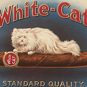 Antique Vintage 1900s - 1920s White Cat Gold Embossed Cigar Label