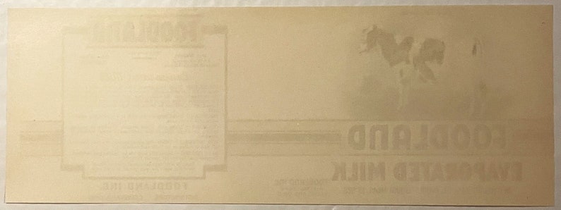 Antique 1920s Foodland Evaporated Milk Can Label Cleveland OH Cow Farm Decor! Vintage Advertisements
