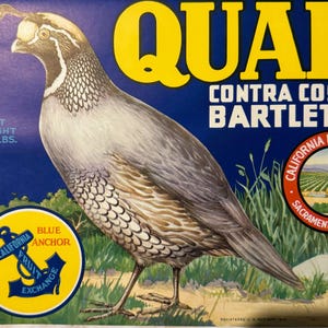 Etiqueta vintage para cajón de codornices, década de 1940, Sacramento, California, rústica, caza, decoración de aves.