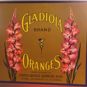 Antique 1920s Gladiola Oranges Crate Label, Covina, Los Angeles, CA
