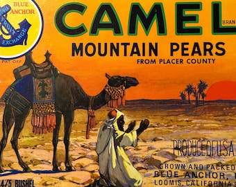 camel pear cigarettes TYRONE POWER Cigarette Ad 1956 Camel Wides - Daveco Beer