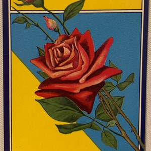 Antique broom label featuring red rose bloom and bud on yellow blue background
