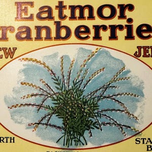 Rare Antique Vintage 1920s Heather Eatmor Cranberries Barrel Label, NY, NJ, CHI
