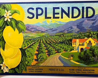 Vintage Splendid Lemons Crate Label: 1950s California Citrus Art