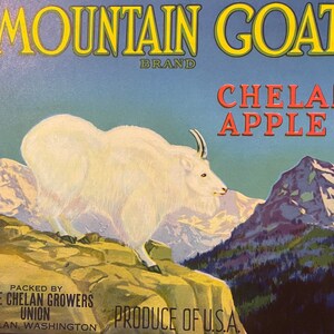 Antique Vintage 1930s Mountain Goat Crate Label, Chelan, WA, Rugged Nature Decor