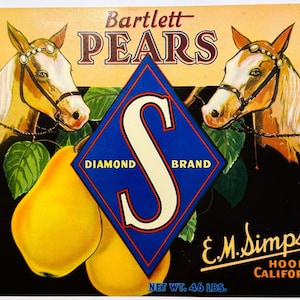 Vintage 1930s Diamond S Brand Bartlett Pears Crate Label, Hood, CA, Horse Decor!