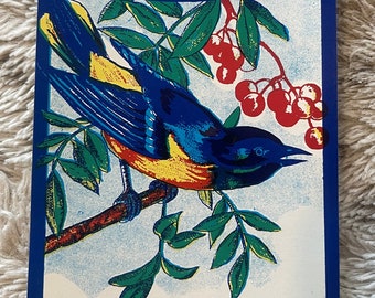 Antique Bluebird Broom Label NOS – Blank Panel Printed USA 1910s-1940s