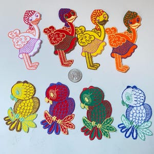 Könnte beinhalten: Acht gestickte Bügelbilder mit bunten Vögeln. Die Vögel sind in verschiedenen Posen, wie Stehen, Sitzen und Fliegen. Die Patches sind perfekt, um Kleidung, Taschen oder anderen Stoffartikeln einen Hauch von Verspieltheit zu verleihen.