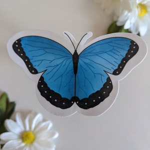 Blue Butterfly Sticker