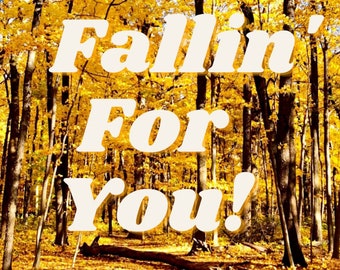 Fallin' For You! Oracle Deck - Shadow N Shine - Heather Schultz