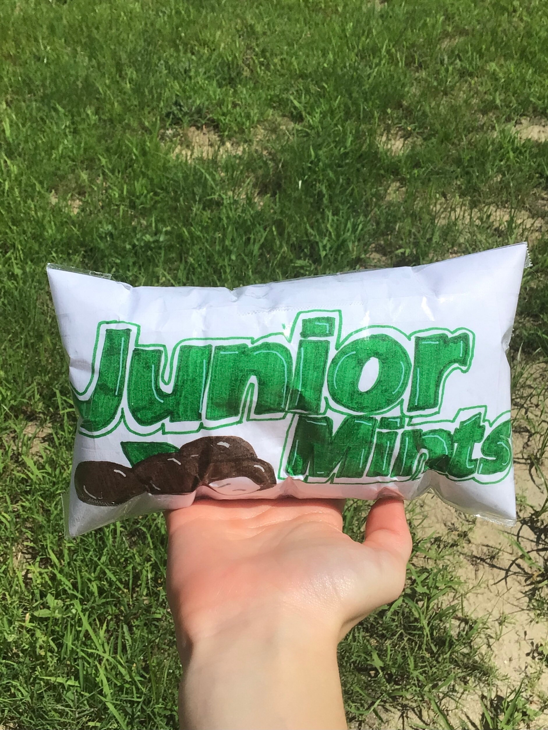 Junior Mints Paper Squishy Etsy