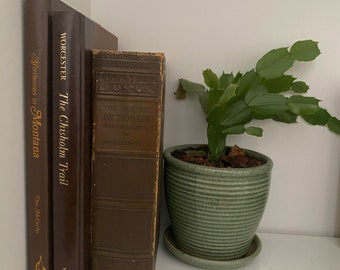 Set of 3 Vintage Dark Brown Books | Vintage Western Books | Vintage Dictionary