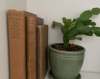 Set of 3 Vintage Light Brown Books | Vintage Chaucer | Vintage Dickens | 1800s books