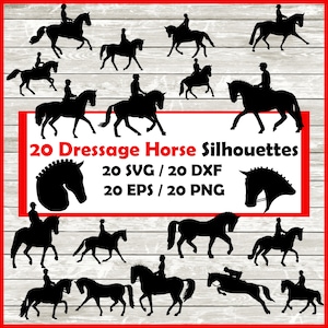 Silhouette de cheval de dressage - 20 modèles d'équitation | Téléchargement numérique | Fichier de découpe 20 Png, SVG, DXF, EPS téléchargement immédiat