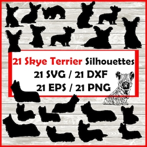 Skye Terrier Dog Silhouette Pack - 21 Scottish Terrier Designs | Digital Download | Png , SVG , DXF , EPS. 11 Long-haired & 10 Short-haired