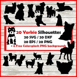 Yorkie Silhouette Pack - 20 Yorkshire terrier Designs | Digital Download |20 Png , SVG , DXF , EPS