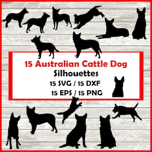 Austalian Cattle Dog Silhouette Pack - 15 Rinderhunde Designs | Digitaler Download | Acd SVG, PNG, EPS, Schnittdatei, dxf C