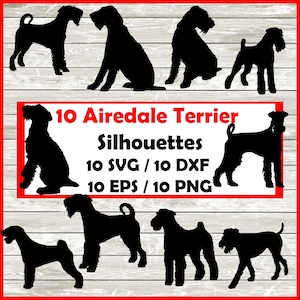 Airedale terrier Dog Silhouette Pack - 10 Designs | Digital Download |10 Png , SVG , DXF , EPS Bingley Terrier , Waterside Terrier