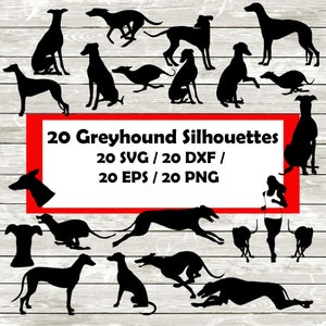 GreyHound Silhouette Pack - 20 disegni / Download digitale SVG, PNG, EPS e Dxf. Clipart di segugio grigio
