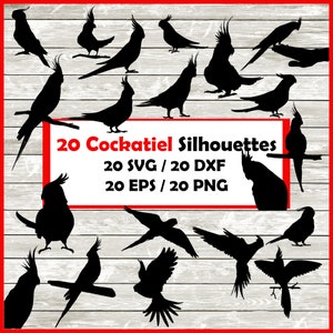 オカメインコのシルエットパック - 20 デザイン | デジタルダウンロード | オウム SVG、オウム PNG、オウム EPS、オウム カット ファイル、オウム dxf デザイン オカメインコ
