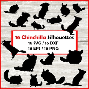 Chinchilla Silhouette Pack - 16 Designs | Digital Download | 16 Png , SVG , DXF , EPS chinchilla owner cutfile immediate download