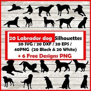 Labrador Silhouette Pack - 20 Designs | Digital Download | Labby 20 Black and 20 White Png , SVG , DXF , EPS Labrador owner