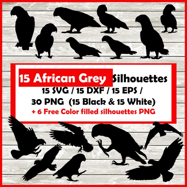 African grey Parrot Silhouette Pack - 15 Designs | Digital Download | Parrot SVG, Parrot PNG, Parrot EPS, Parrot Cut File, Parrot dxf Design