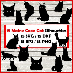 Pack de silhouettes de chat Maine coon - 15 dessins de Maine cooncat en téléchargement numérique | 15 png, SVG, DXF, EPS. Wegie chat des forêts norvégiennes
