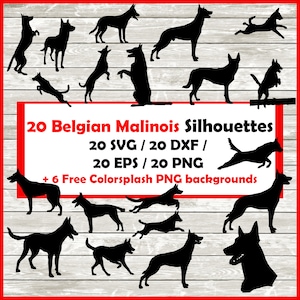 May include: A set of 20 black silhouette images of Belgian Malinois dogs in various poses. The images are available in SVG, DXF, EPS, and PNG formats. The text "20 Belgian Malinois Silhouettes" is at the top of the image. The text "20 SVG / 20 DXF / 20 EPS / 20 PNG" is below the title. The text "+ 6 Free Colorsplash PNG backgrounds" is below the file formats.