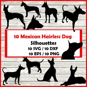 Mexikanischer haarloser Hund Silhouette Pack - 10 Designs | Digitaler Download |10 Png , SVG , DXF , EPS Xoloitzcuintli , xolo Hund oder Tepezcuintli