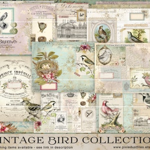 pages de journal indésirables vintage Birds, papiers imprimables, fournitures de journal, éphémères, téléchargement numérique, kit de journalisation collage art master board VB