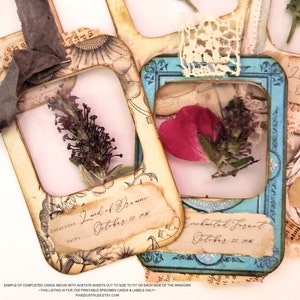 afdrukbare specimen kaarten, dia's, junk journal ephemera, digitale collage vellen, geperste bloemen, microscoop dia's, vintage botanische afbeelding