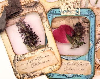 druckbare Musterkarten, Dias, Junk Journal Ephemera, digitale CollageBlätter, gepresste Blumen, Mikroskop-Dias, vintage botanisches Bild