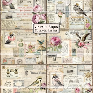 Vintage Collage Papers, Birds junk journal, bird images, printable ephemera, digital download, master board, bird paper, scrapbooking, cards