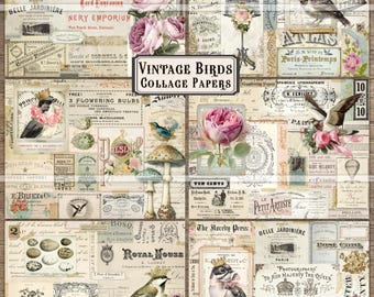 Vintage Collage Papers, Birds junk journal, bird images, printable ephemera, digital download, master board, bird paper, scrapbooking, cards