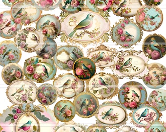 Fussy cut Victorian bird labels, junk journal kit, vintage bird images, printable stickers, scrapbooking, collage, ephemera digital download