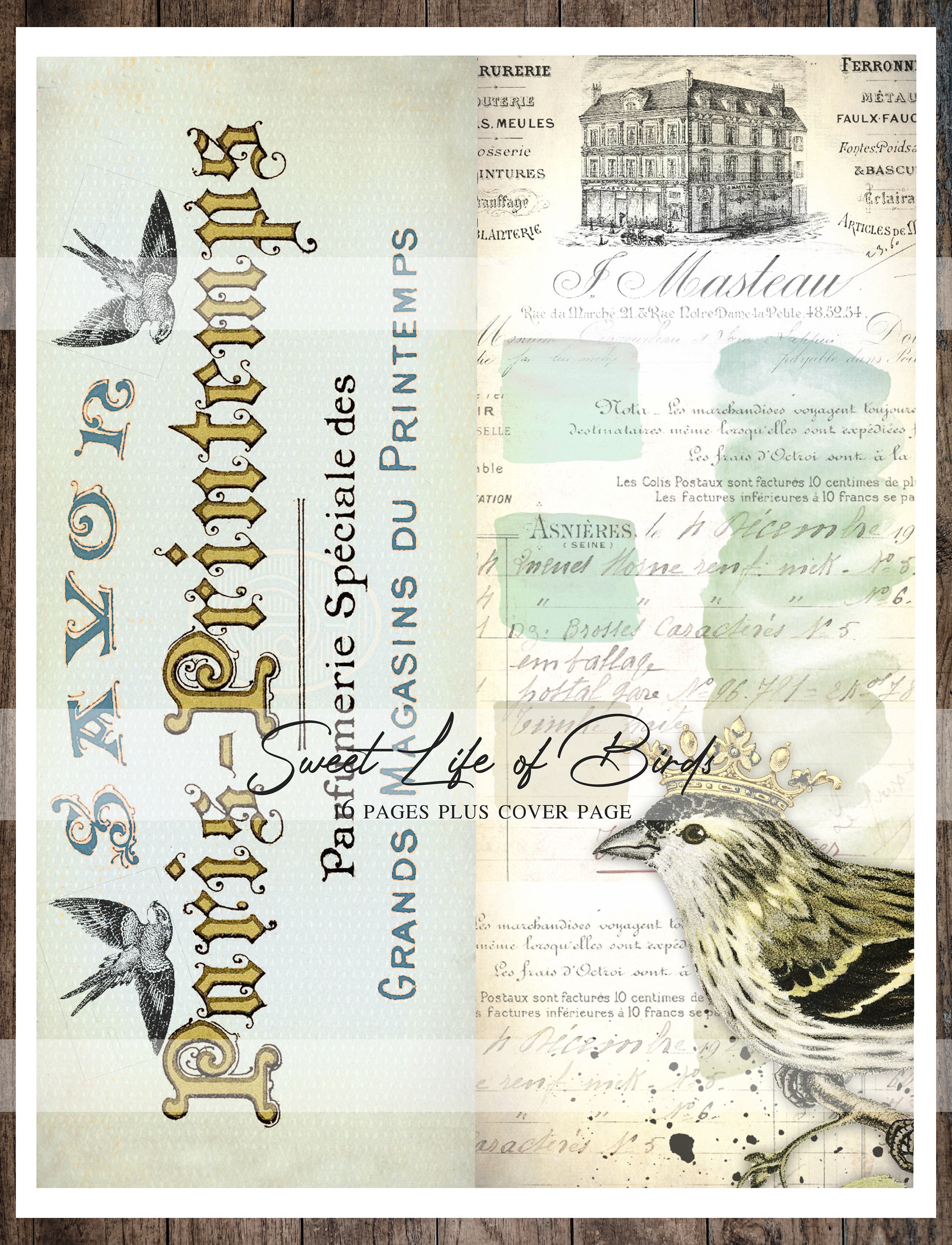 Birds Junk Journal Printable Kit Tall & Skinny Vintage Bird - Etsy Canada