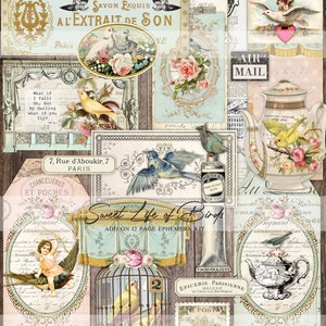 Utskrivbart kit för fågelskräpjournal, lång och smal/tunn journal, journalingtaggar, vintage ephemera, vintage fågelbilder, digital nedladdning