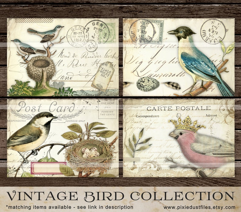 Vintage Birds Junk Journal Digi Kit, Collage Sheets, DIGITAL DOWNLOAD ...