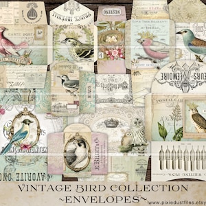 Bird Junk Journal Envelopes, printable coin envelope, vintage bird images journaling supplies ephemera kit digital download collage sheet VB