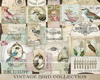 Bird Junk Journal Envelopes, printable coin envelope, vintage bird images journaling supplies ephemera kit digital download collage sheet VB