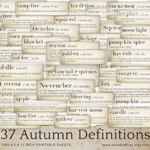 May include: 37 printable autumn definition cards with words like campfire, squirrel, pumpkin spice, and harvest moon. The cards are beige with brown text and are designed to be printed on 8.5 x 11 inch sheets.