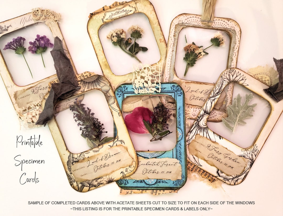 Floral Specimen Cards, Printable Slides, Junk Journal Digi Kit, Dried