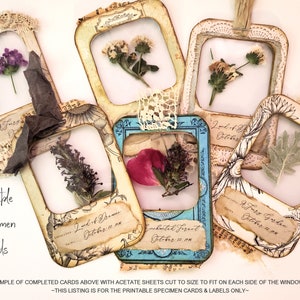 Cartes de spécimens floraux, diapositives imprimables, kit digi de journal indésirable, fleurs séchées, fournitures de journalisation, scrapbooking, éphémères, images botaniques