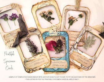 Floral Specimen Cards, printable slides, junk journal digi kit, dried flowers, journaling supplies, scrapbooking, ephemera, botanical images