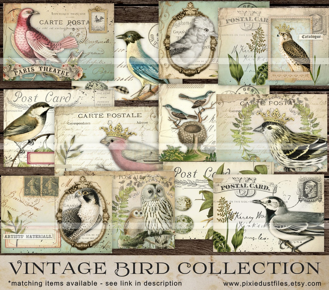 Vintage Birds Junk Journal Digi Kit, Collage Sheets, DIGITAL DOWNLOAD ...