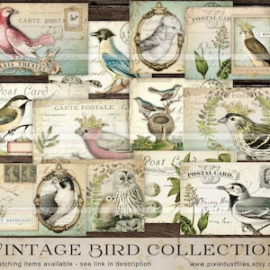 Kit imprimable de journal indésirable oiseaux, images d'oiseaux vintage, étiquettes de journalisation, téléchargement numérique éphémère, feuille de collage, cartes postales d'oiseaux anciennes, VB